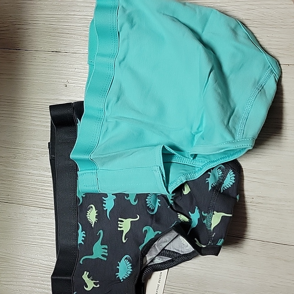 Boys dinosaur undies